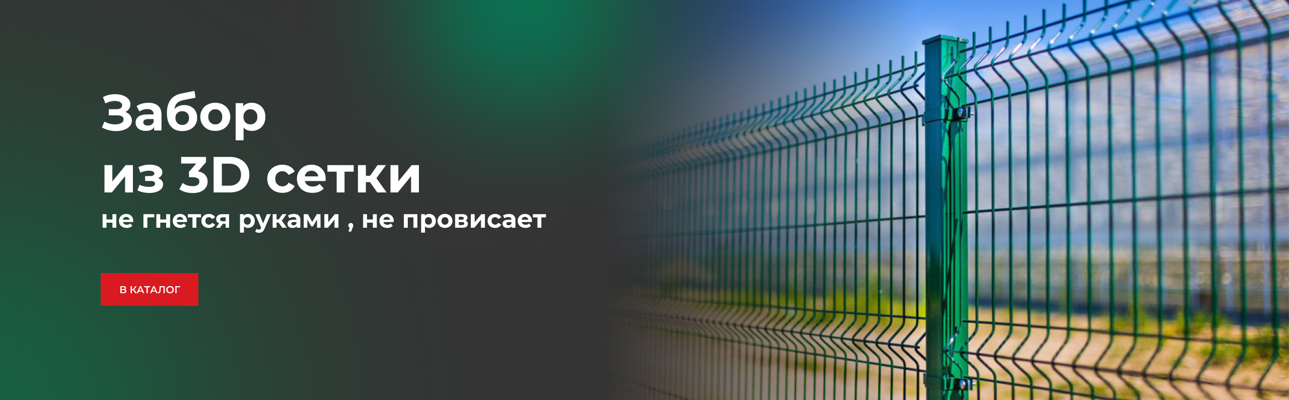 Сетка 3D